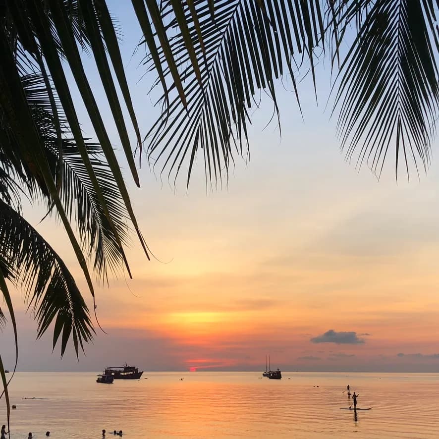 Thailand tropical beach sunset with palm trees