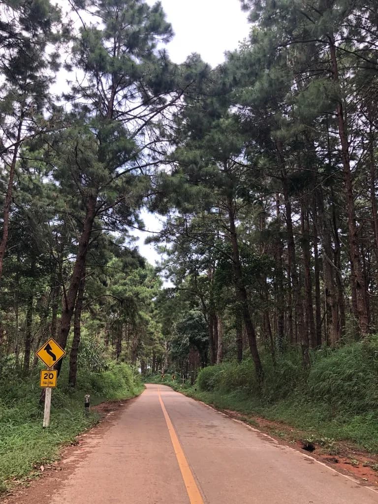 Hiking through Thailand's mountains